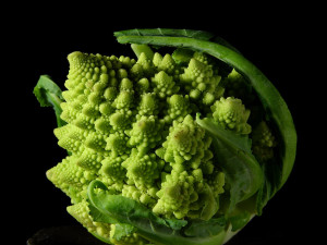 broccolifractal