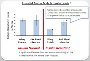 BCAA graph