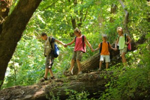 kids on log