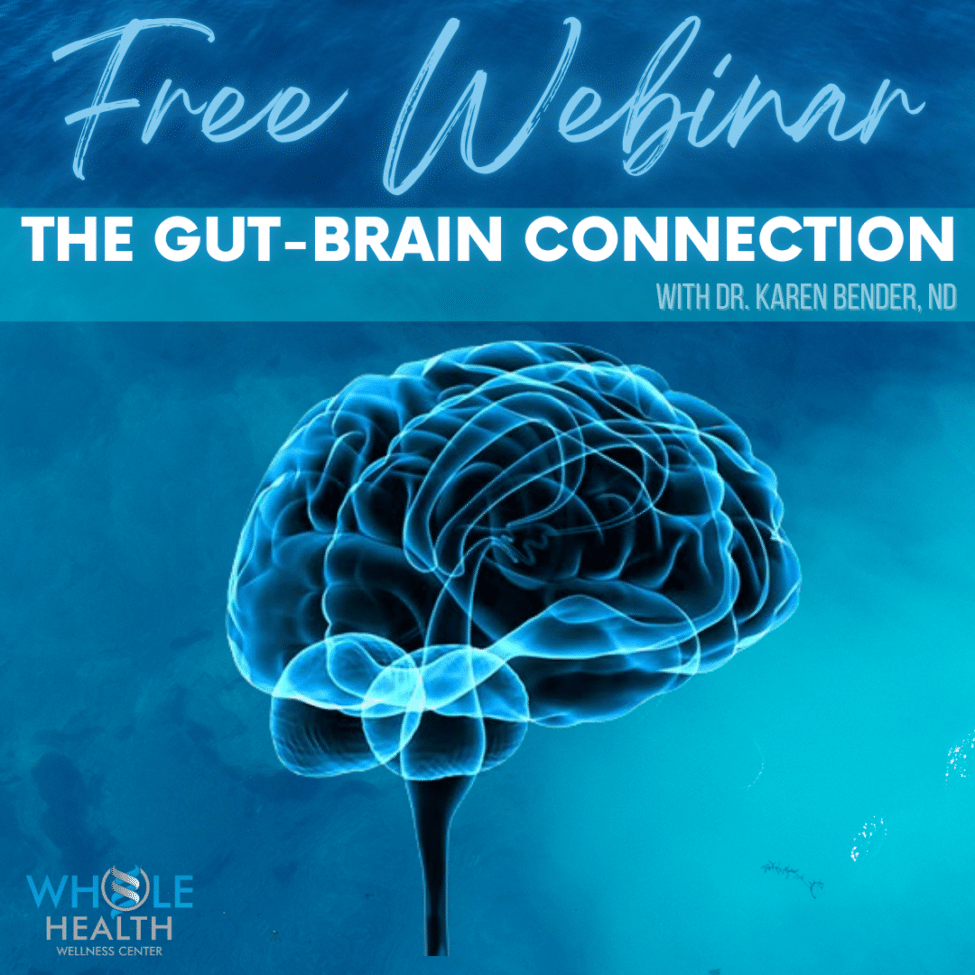 Gut Brain Webinar