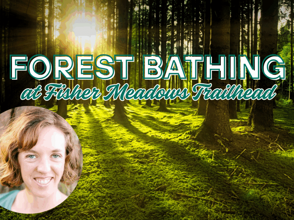 Free Family Friendly Forest Bathing
